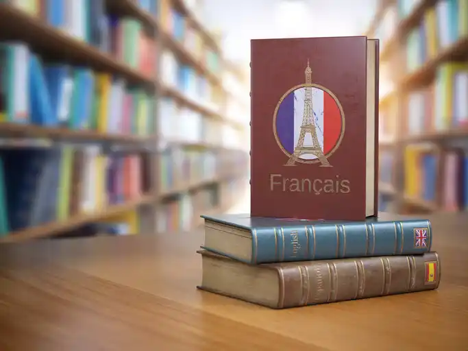 Cizojazyčná literatura